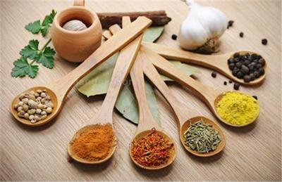 斯諾泰調味品研發 創新驅動美味升級