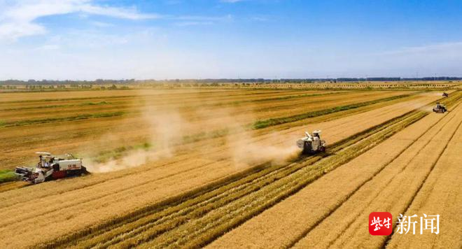 射陽榮膺全國超級產(chǎn)糧大縣 有機(jī)稻谷的綠色革命