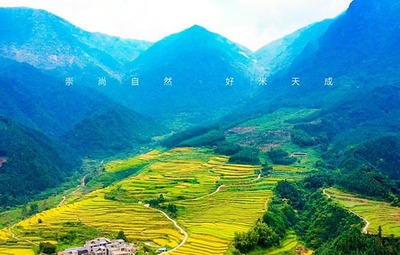 有機大米與稻谷種植的研發(fā)創(chuàng)新