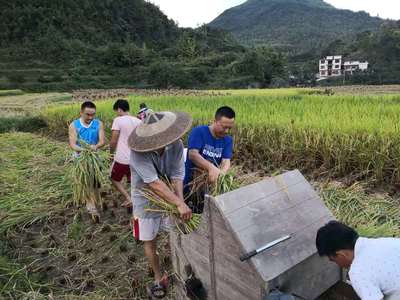 科技扶貧鑄豐碑 記我校駐村扶貧隊(duì)長宋劉斌榮獲“全國科技助力精準(zhǔn)扶貧工作先進(jìn)個人”榮譽(yù)稱號