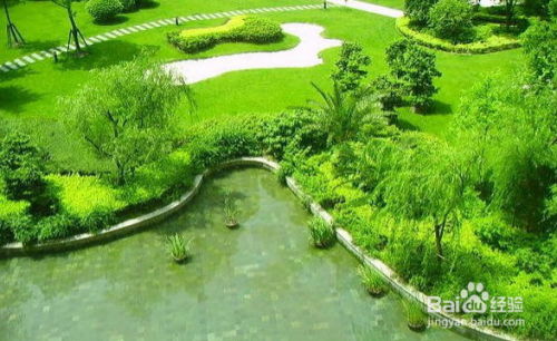 深圳花木租擺園林綠化施工與養(yǎng)護