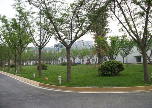 【花都園林綠化工程價(jià)格】- 