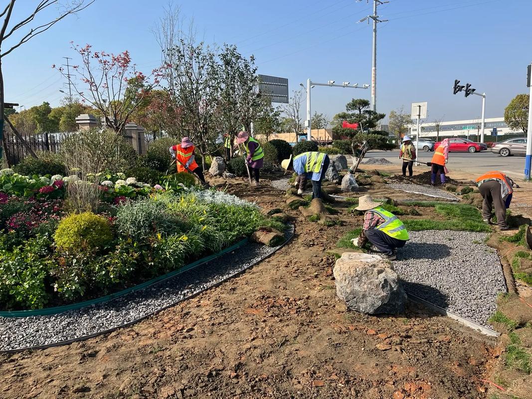園林綠化工程施工實錄 從藍圖到綠意盎然的現場實踐